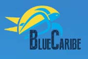 Blue Caribe Tours coupons