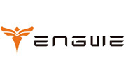 Engwe Bikes EU coupons