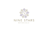 Nine Stars Online coupons
