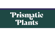 Prismatic Plants Coupons