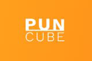 Pun Cube Coupons