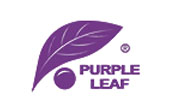 Purple Leaf Coupons 